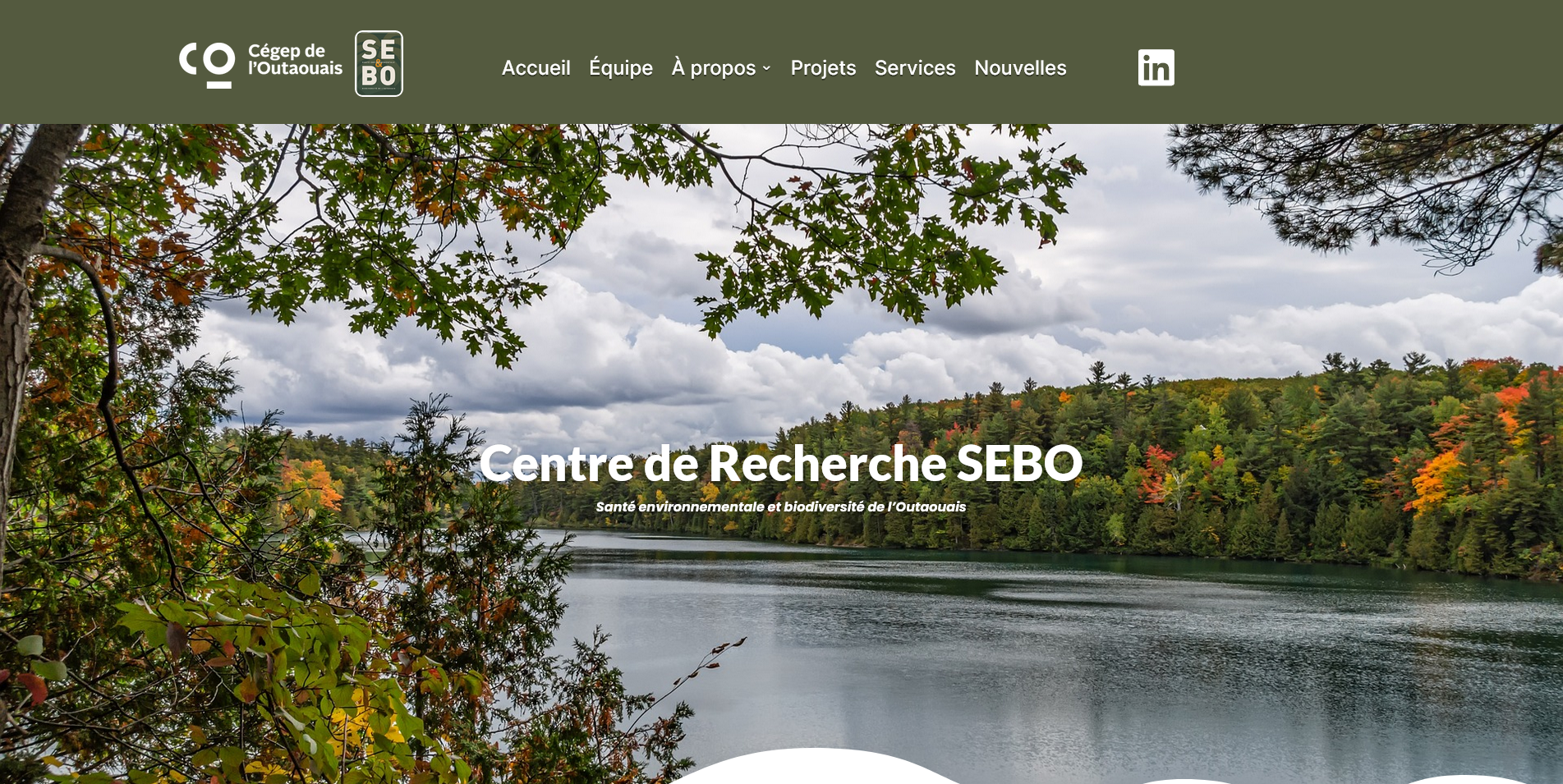 Screenshot 2023-04-24 at 11-06-26 Sebo