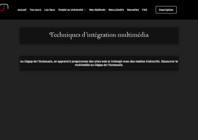 Website